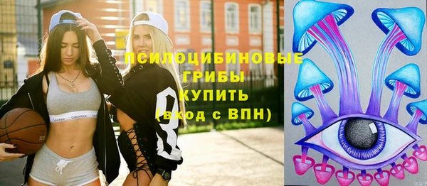 гидра Осинники