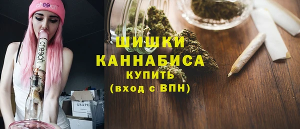 гидра Осинники