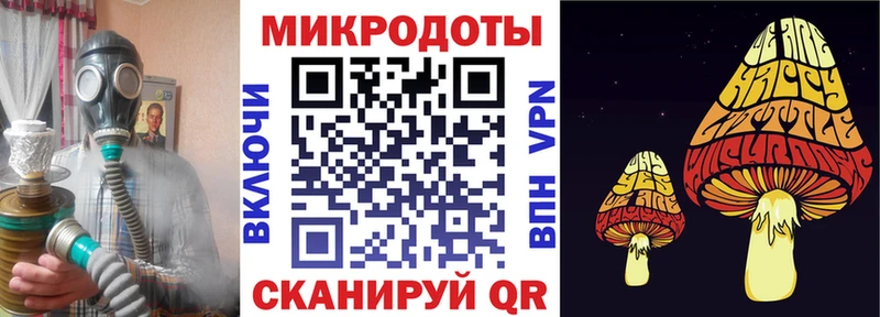 Псилоцибиновые грибы Psilocybe  Руза 